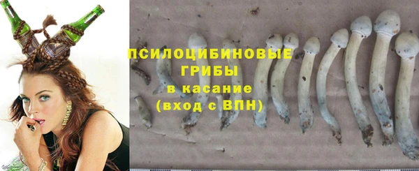 спайс Касимов