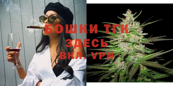 дживик Карпинск